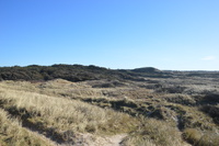 20230227_BøgstedRende_017.JPG