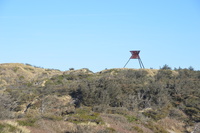 20230227_BøgstedRende_018.JPG