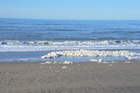 20230227_BøgstedRende_024.JPG