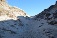 20230227_BøgstedRende_028.JPG