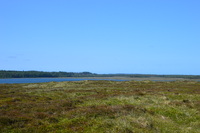 20250611_Isbjerget_002.JPG