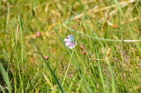 20250611_Isbjerget_005.JPG