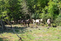 20250611_Isbjerget_009.JPG