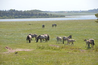 20250611_Isbjerget_014.JPG