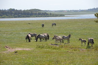 20250611_Isbjerget_015.JPG