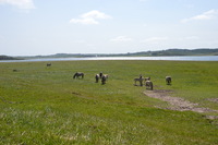 20250611_Isbjerget_016.JPG