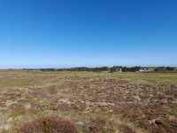 20250820_Vangså_01.jpg