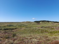 20250820_Vangså_02.jpg
