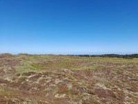 20250820_Vangså_04.jpg