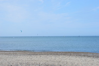 20250826_NrVorupoer_001.JPG