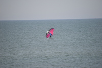 20250826_NrVorupoer_005.JPG