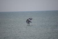 20250826_NrVorupoer_008.JPG