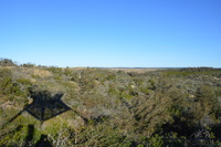 20230227_BøgstedRende_044.JPG