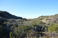 20230227_BøgstedRende_077.JPG