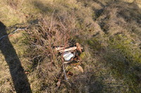 20230227_BøgstedRende_090.JPG