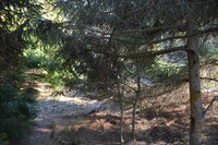 20230227_BøgstedRende_098.JPG