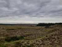 20250901_GrønsletsRenne_01.jpg