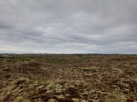20250901_GrønsletsRenne_02.jpg