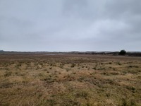 20251205_ØrumSlette_01.jpg