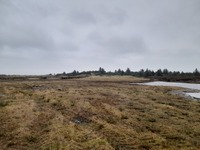 20251205_ØrumSlette_02.jpg