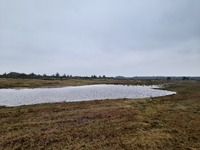 20251205_ØrumSlette_03.jpg