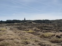 20250429_Lodbjerg_01.jpg