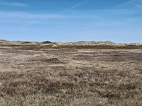 20250429_Lodbjerg_03.jpg