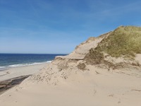 20250429_Lodbjerg_07.jpg