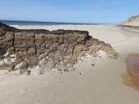 20250429_Lodbjerg_08.jpg