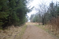 20260311_Saarup_HanstholmVildtreservat_003.JPG