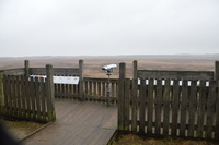 20260311_Saarup_HanstholmVildtreservat_004.JPG