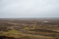 20260311_Saarup_HanstholmVildtreservat_005.JPG