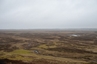 20260311_Saarup_HanstholmVildtreservat_006.JPG