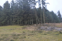 20260311_Saarup_HanstholmVildtreservat_014.JPG