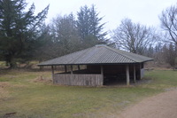 20260311_Saarup_HanstholmVildtreservat_015.JPG