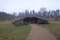 20260311_Saarup_HanstholmVildtreservat_018.JPG