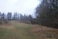 20260311_Saarup_HanstholmVildtreservat_019.JPG
