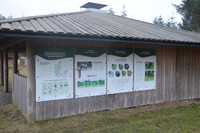 20260311_Saarup_HanstholmVildtreservat_022.JPG