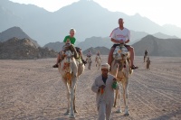 20100731_Egypten-JeepSafari_037.JPG