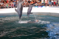20130801_Bulgarien_Delfin-show_037.JPG